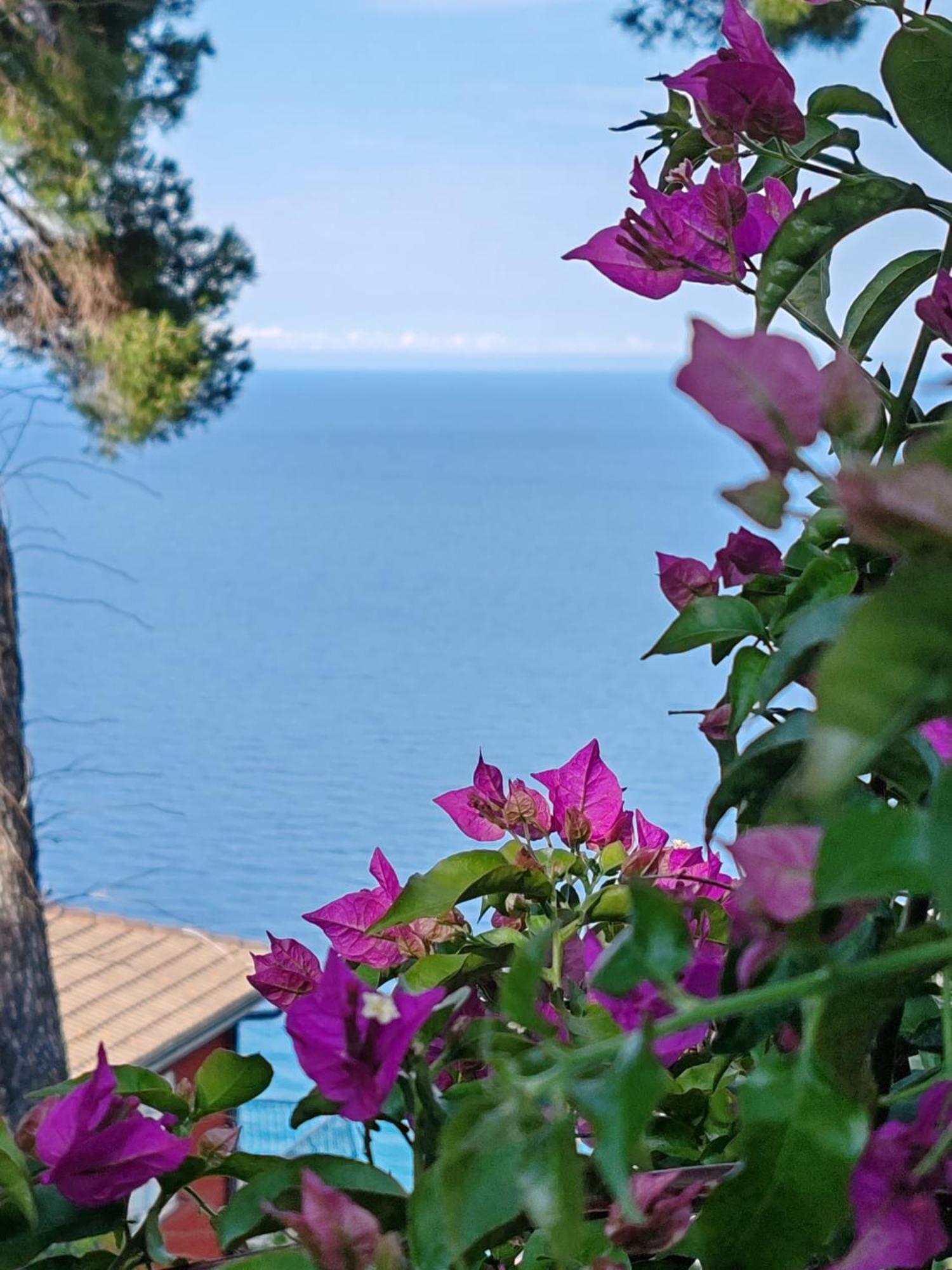 Appartamento Vista Mare Αλμπένγκα Εξωτερικό φωτογραφία
